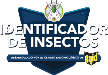 Identificador de Insectos